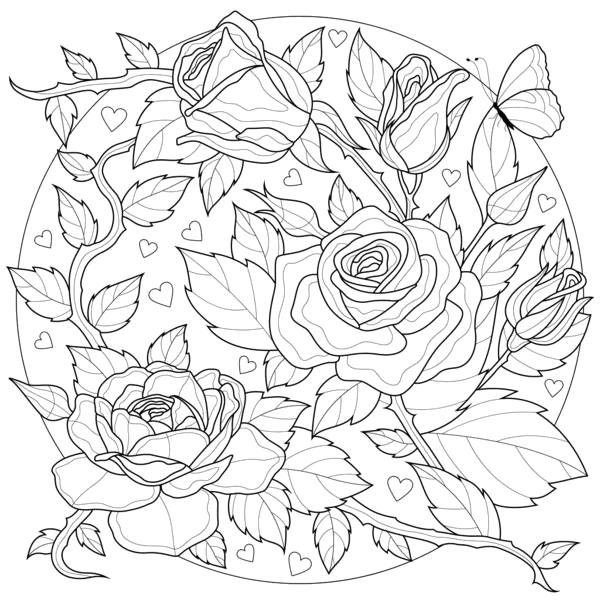 Rosa