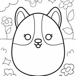 Squishmallow