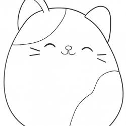 Squishmallow