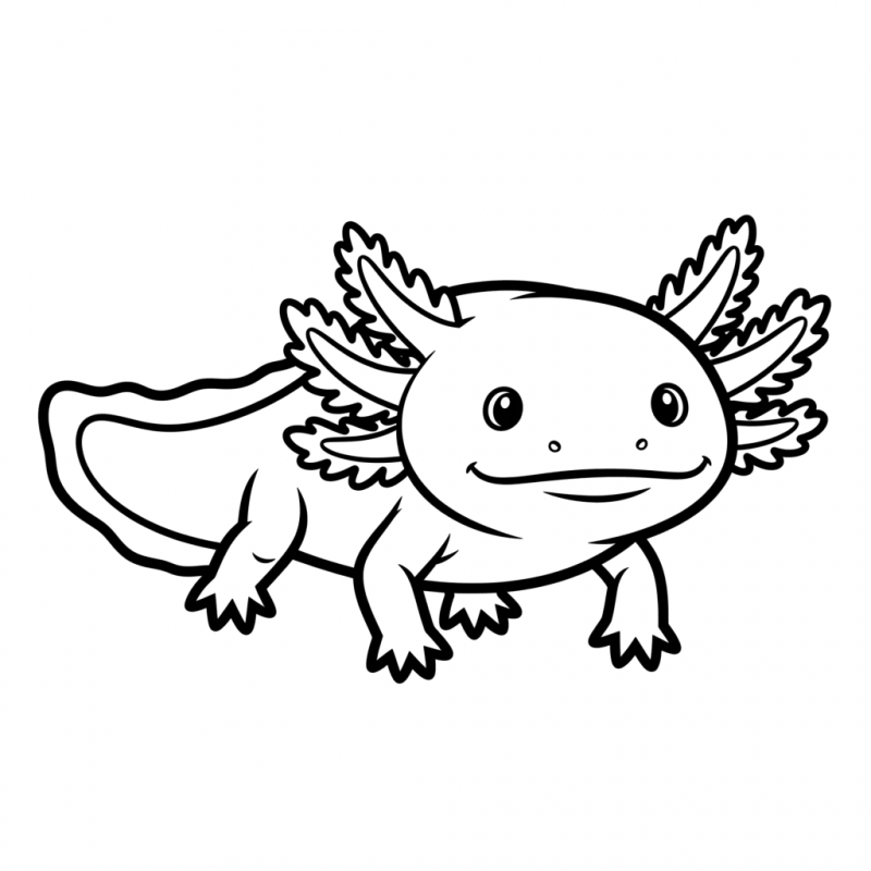 Axolotes