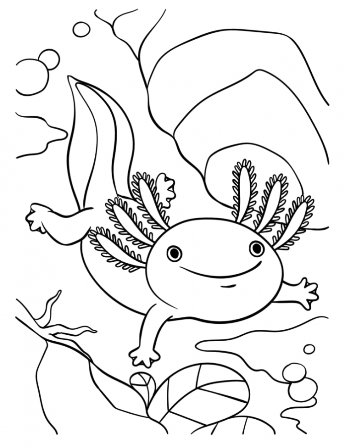 Axolotes