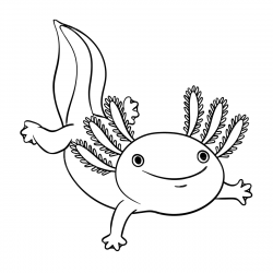 Axolotes