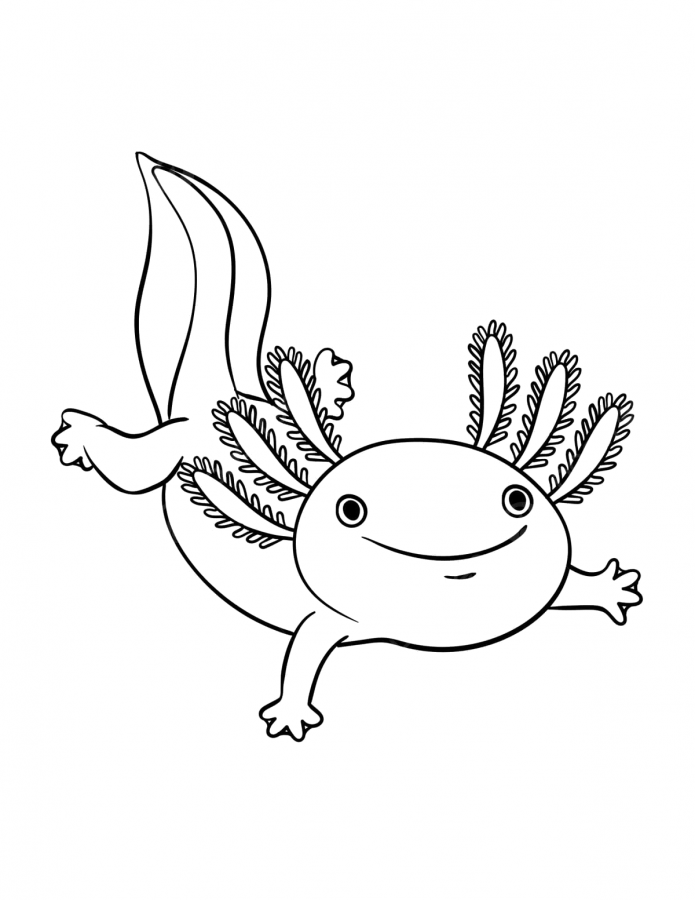 Axolotes