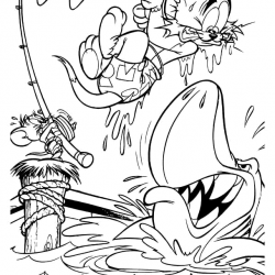 Tom e Jerry