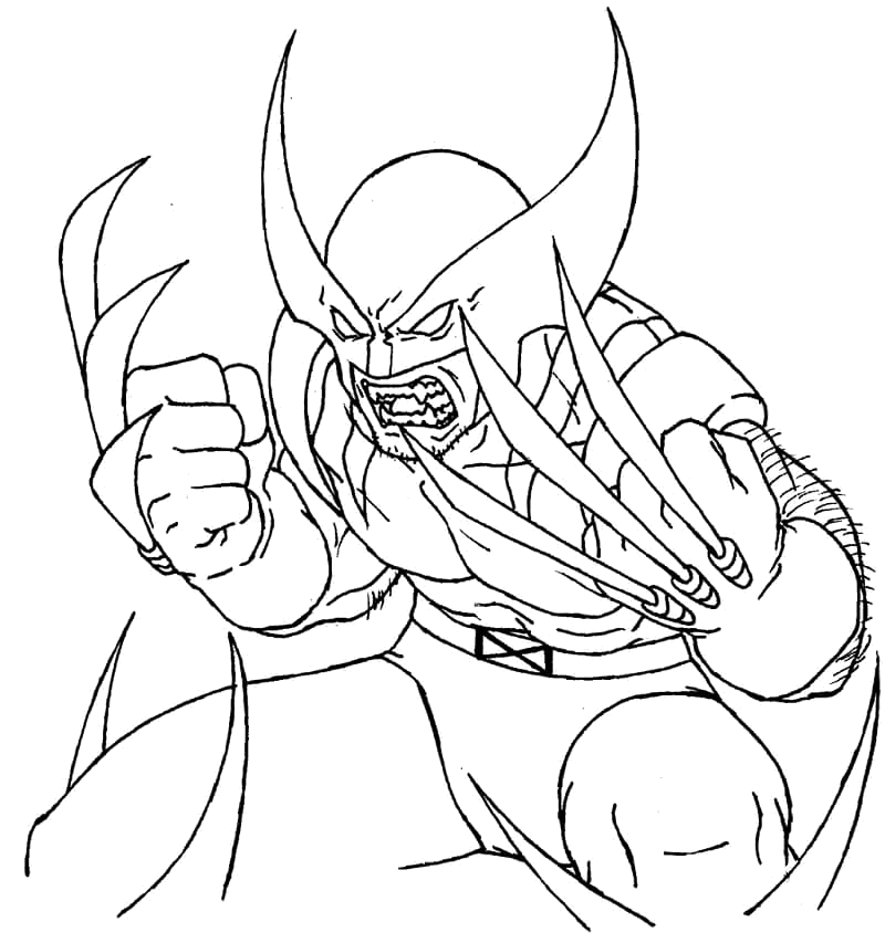 Wolverine