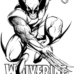 Wolverine para imprimir e colorir