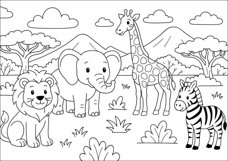 Zebras
