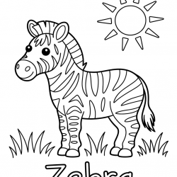 Zebras