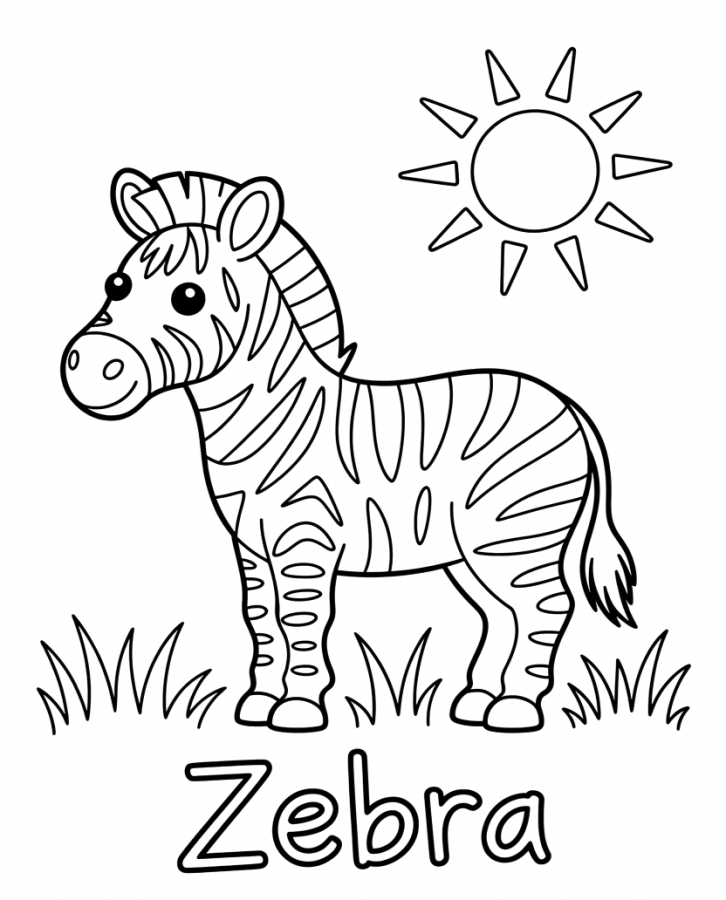 Zebras